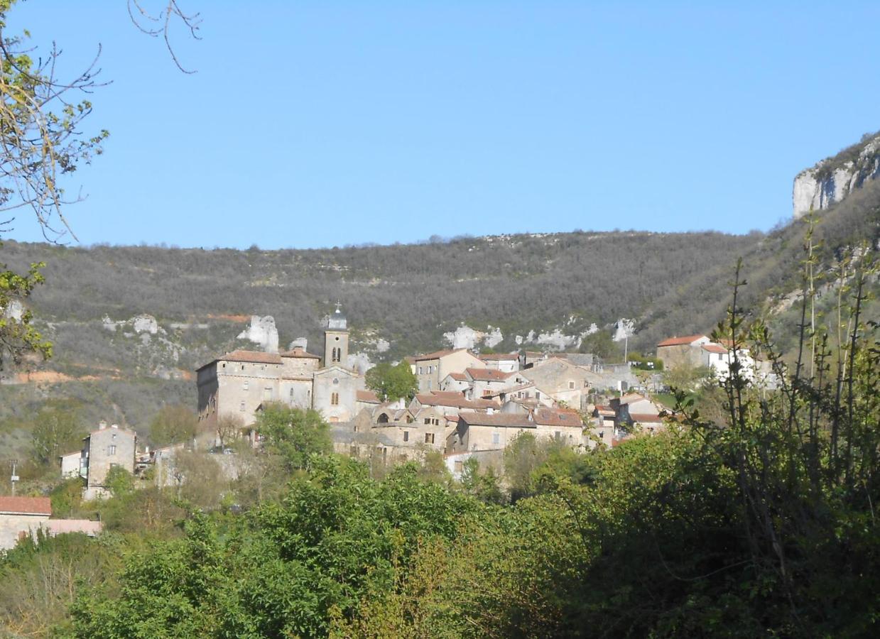 Maison Spacieuse Et Agreable Saint-Georges-de-Luzençon Kültér fotó